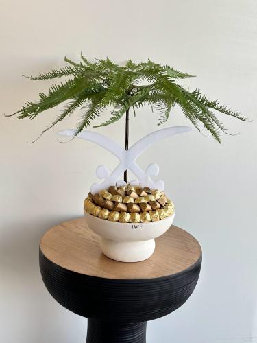 تشوكلت سيفين والنخلة