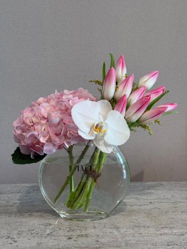 بينكي هيدرانجا مع توليب