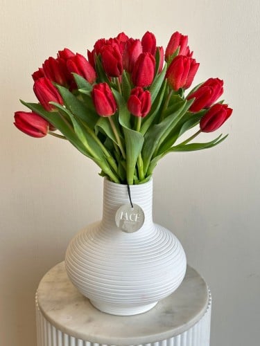 فازة توليب احمر هولندي