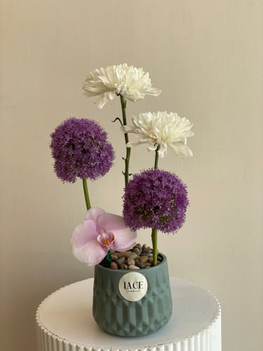 فازة الإليوم مع الكريز