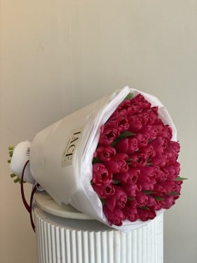 توليب أحمر 50 حبة