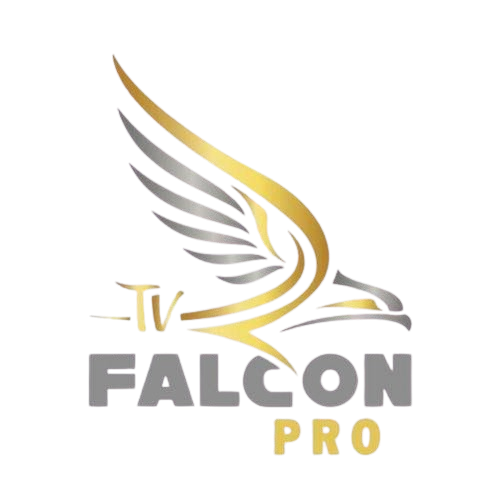 اشتراك فالكون 6 اشهر