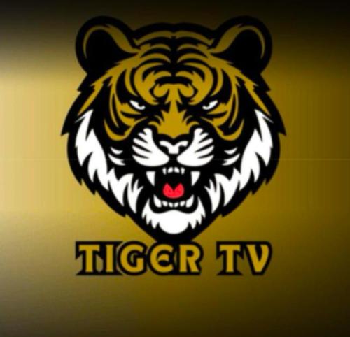 تايجر TV + فولتشر سنة