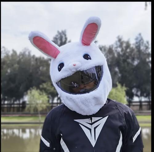 تلبيسة خوذة على شكل ارنب