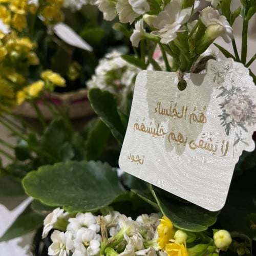 6 كروت اهداء