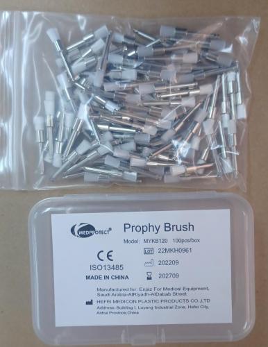 Prophy Brush