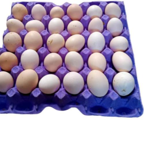 ديراب بيض بلدي 30بيضة