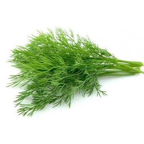 شبت