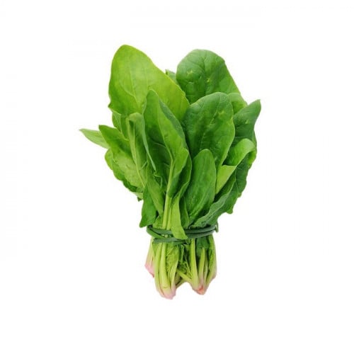 سبانخ