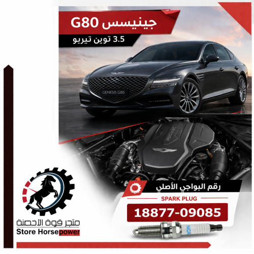 بواجي جينيسسG80 توين تيربو