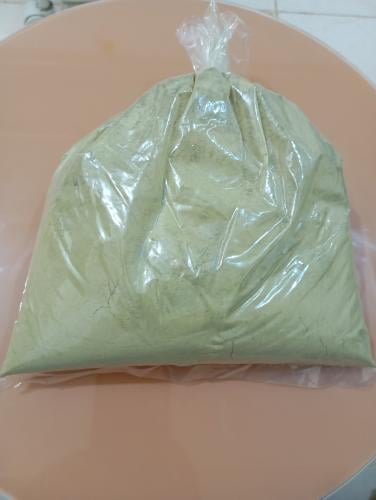 سدر المدينه