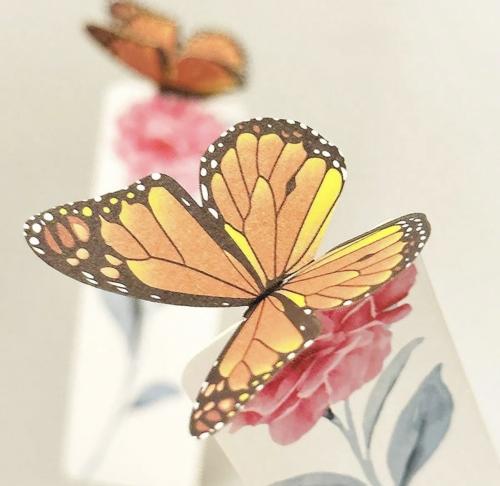 فاصل الفراشة - برتقالي