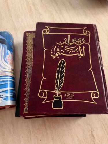 ديوان المتنبي