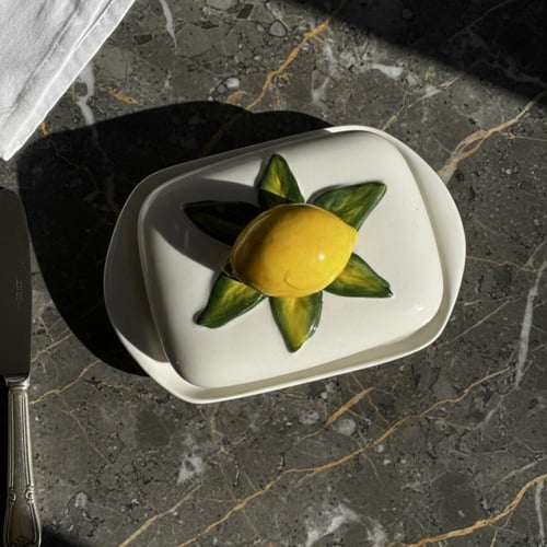 حافظة بسكويت