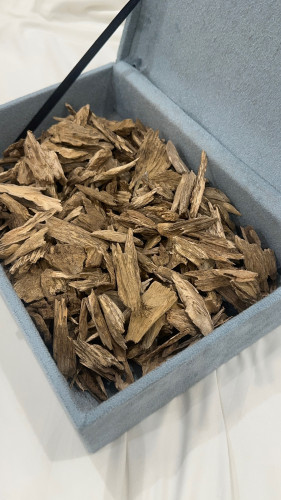 عود اريان حي