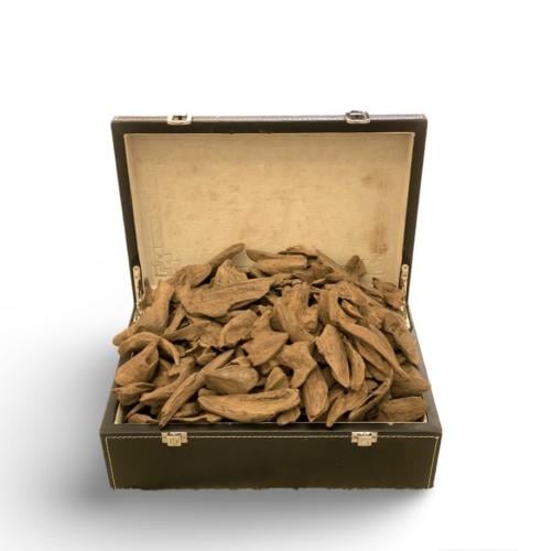 عود موروكي آصقون (دبل سوبر)