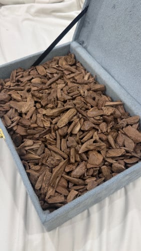 عود موروكي اصقون