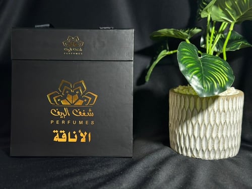 بوكس الاناقة