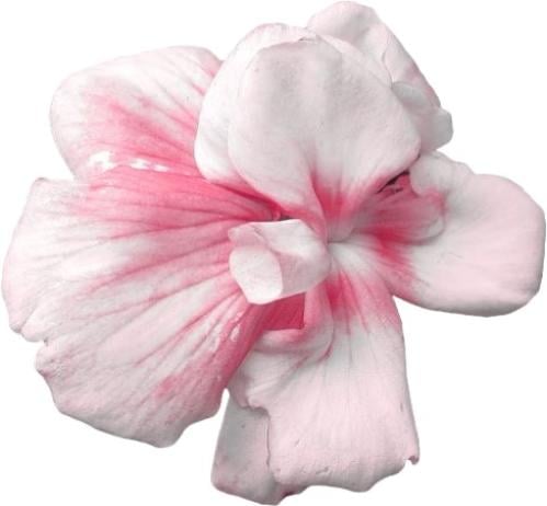 1 - Flower baby pink | ورده وردية