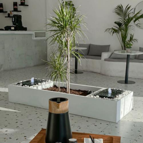 نافورتين مع حوض زرع مستطيل رقم 2