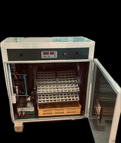 فقاسة حجم 176 بيضة