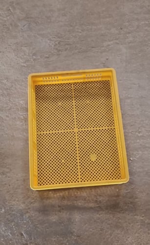 سلة تحضين للفقاسات