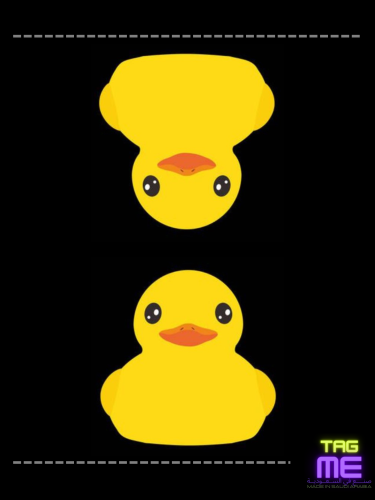 تاق البطه