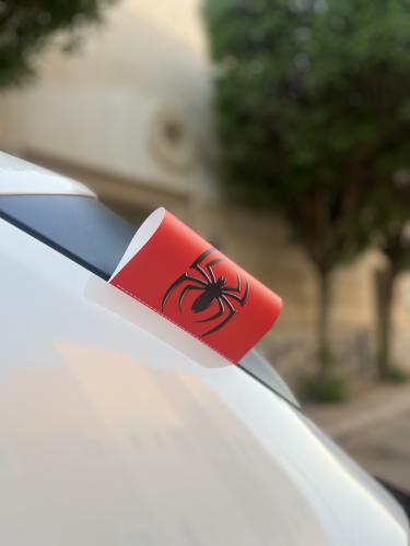 تاق سبايدر مان ٢