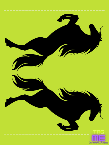 تاق خيل