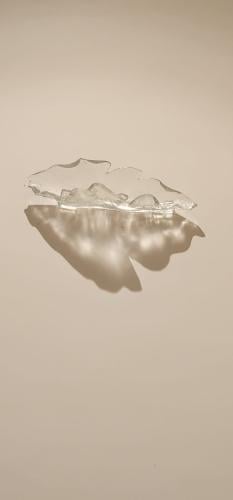 أوراق المنجا ٢٠ حبه