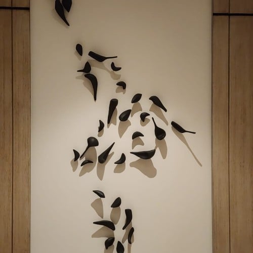 طيور سوداء 32 حبة كبير