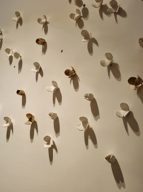 اوراق مطويه 70 حبه.