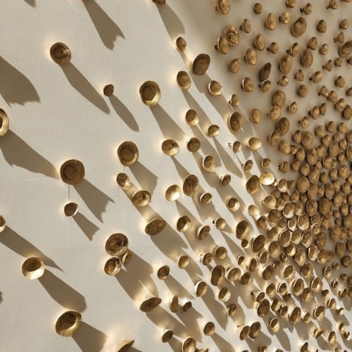 حبات الشمس 400 حبه