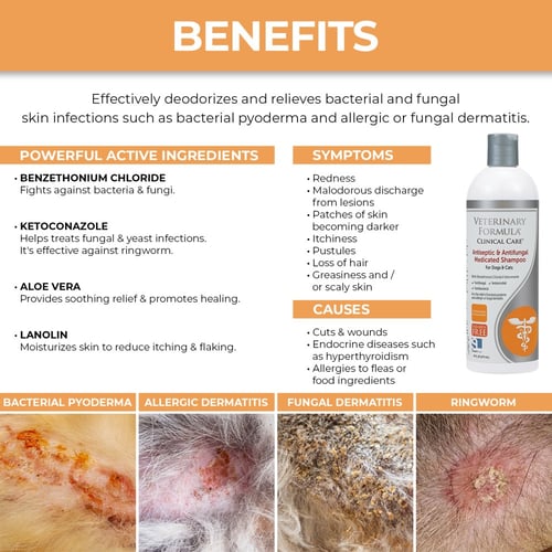 شامبو طبي مطهر ومضاد للفطريات للكلاب والقطط 473 مل