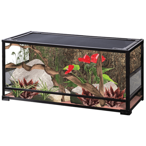 ريبتي بلانيت - حوض زجاجي للزواحف كبير