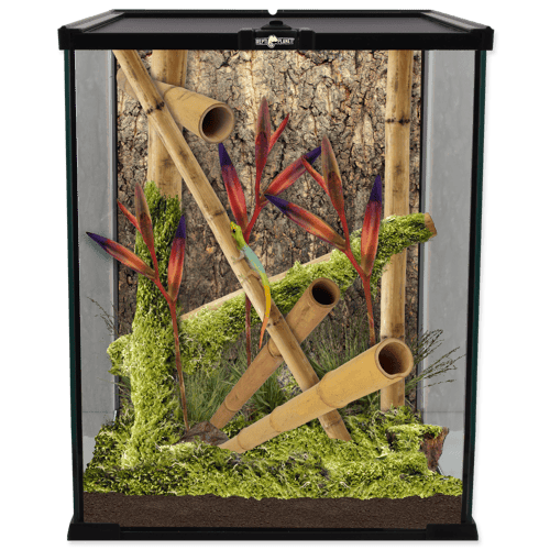 ريبتي بلانيت - حوض زجاجي للزواحف ميني مقاس صغير