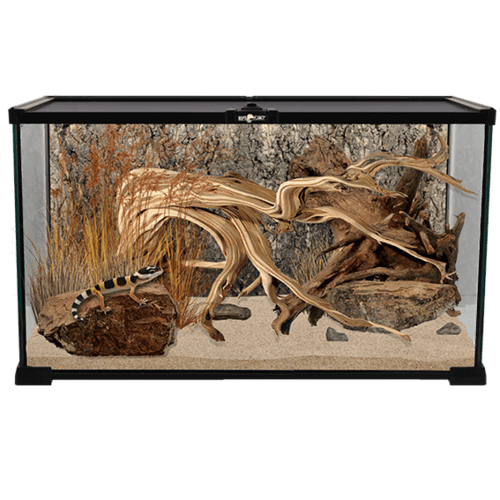 ريبتي بلانيت - حوض زجاجي للزواحف ميني مقاس صغير