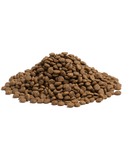 ايسينتشال فودز للكلاب -بالانس غذاء مصدر واحد من ال...