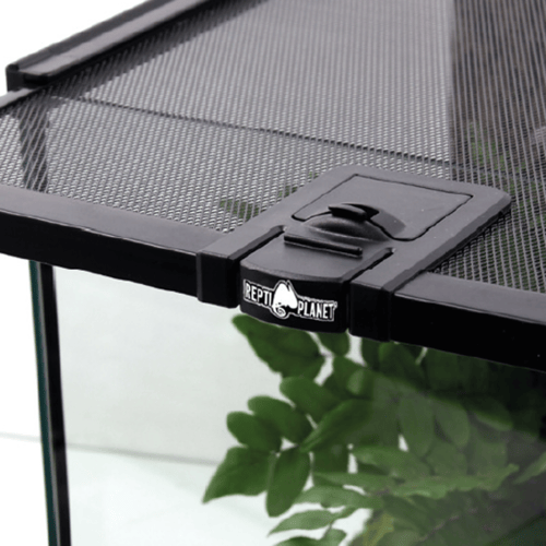 ريبتي بلانيت - حوض زجاجي للزواحف ميني مقاس صغير