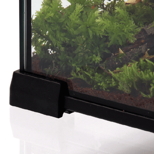 ريبتي بلانيت - حوض زجاجي للزواحف ميني مقاس صغير