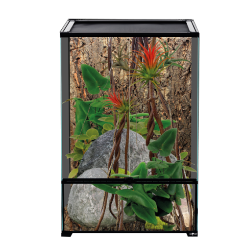 ريبتي بلانيت - أحواض الزواحف زجاجية طولية