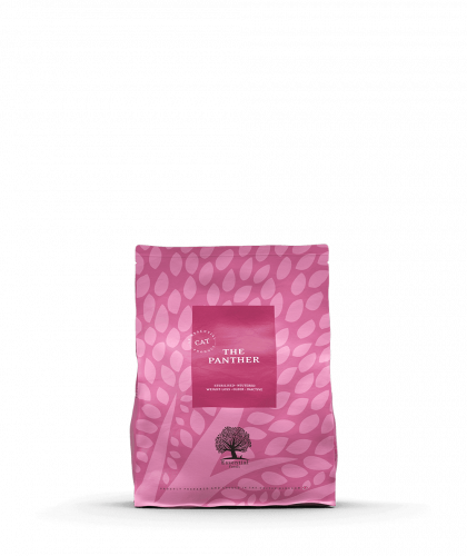 ايسينشال فودز طعام جاف للقطط - ذا بانثر خالي من ال...