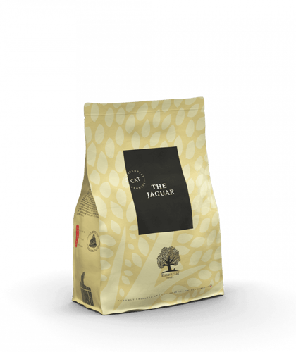 ايسينشال فودز طعام جاف للقطط - ذا جاكوار بالبط خال...