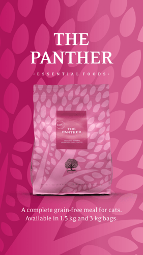 ايسينشال فودز طعام جاف للقطط - ذا بانثر خالي من ال...