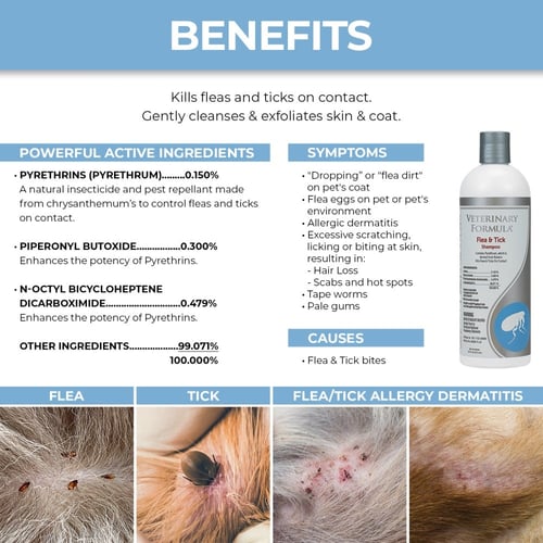 شامبو طبي للعناية ضد البراغيث والقراد للكلاب والقط...