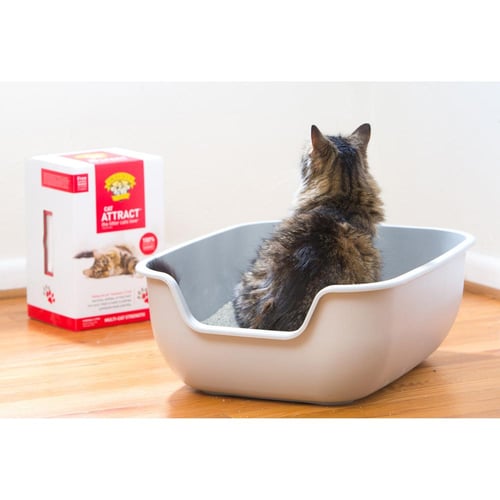 رمل القطط كات اتراكت المتكتل ٩٩.٩٪ من دون غبار ٩ ك...