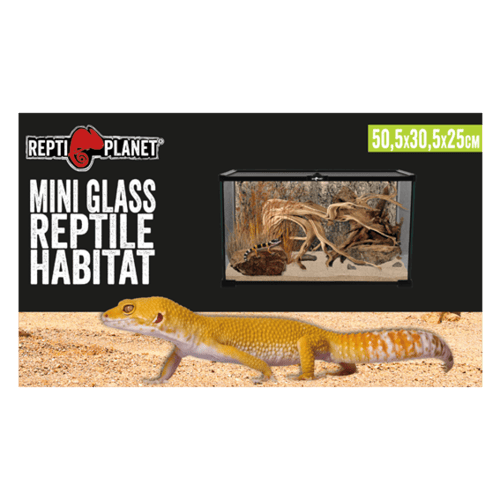 ريبتي بلانيت - حوض زجاجي للزواحف ميني مقاس صغير