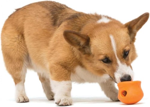 ويست بو وبل - لعبة العض تفاعلية للكلاب