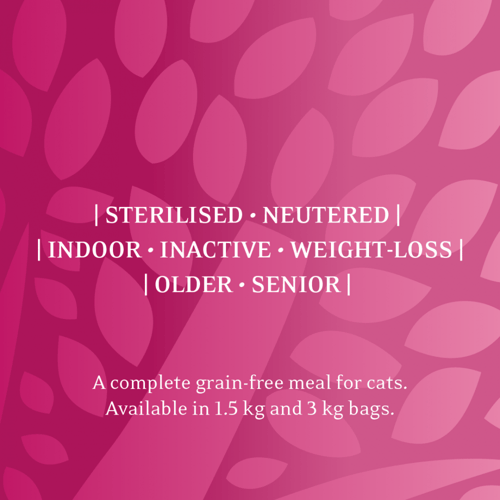 ايسينشال فودز طعام جاف للقطط - ذا بانثر خالي من ال...