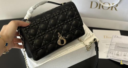Dior3